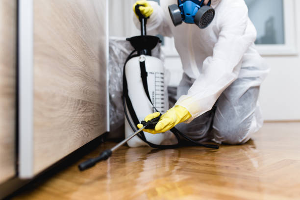 Best Affordable Pest Control Services  in Granite Hills, CA