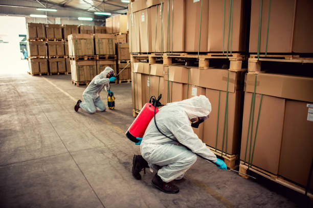 Best Termite Control Services  in Granite Hills, CA