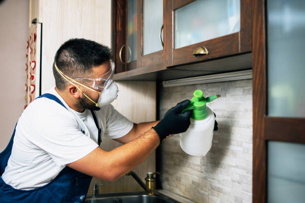Flea Control Services in Granite Hills, CA