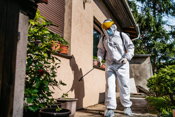 Best Flea Control Services  in Granite Hills, CA