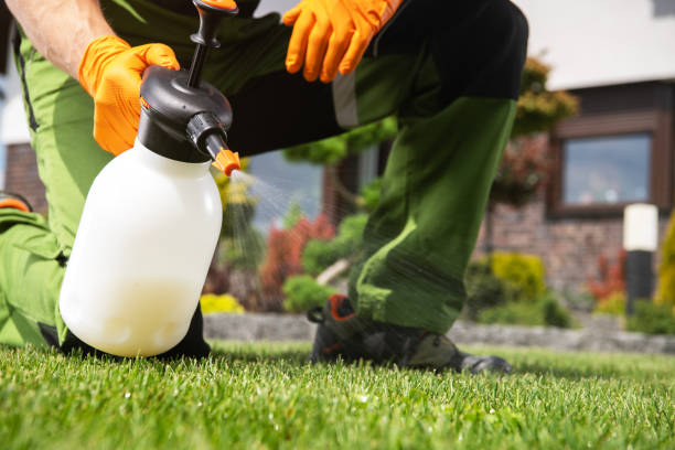 Wildlife Control Services in Granite Hills, CA