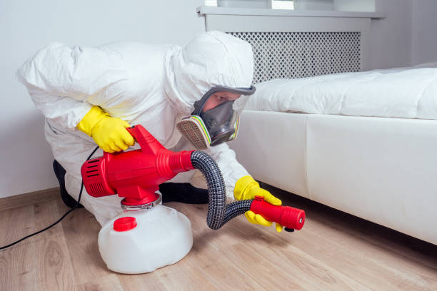 Best Spider Control Near Me  in Granite Hills, CA