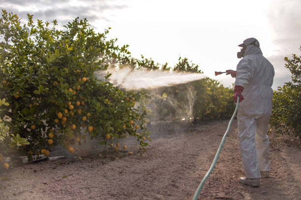 Best Pest Removal Services  in Granite Hills, CA
