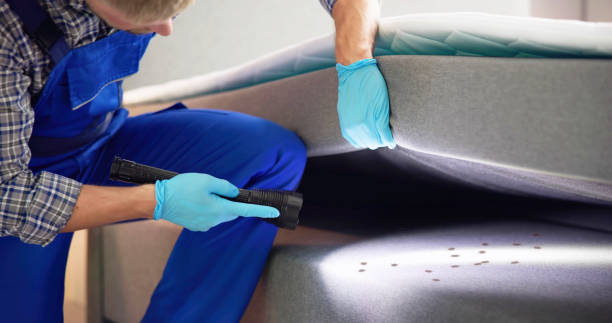 Best Wasp Removal Services  in Granite Hills, CA