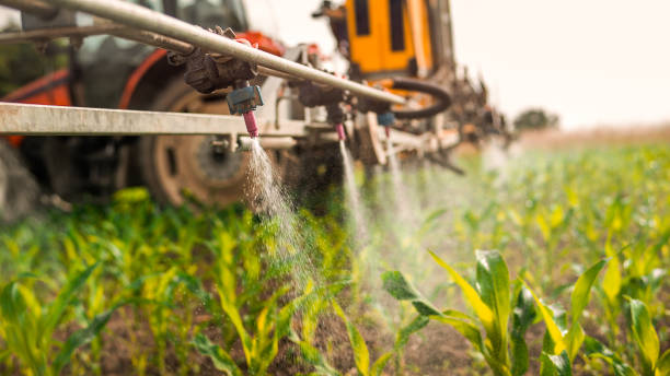 Best Insect Control  in Granite Hills, CA