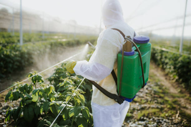 Best Cockroach Control Services  in Granite Hills, CA